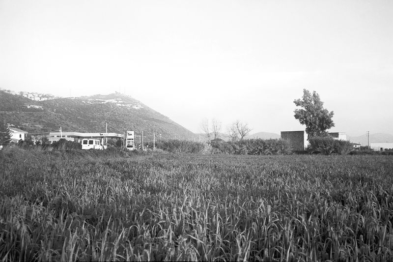 © Serena Radicioli - Gas Station Field