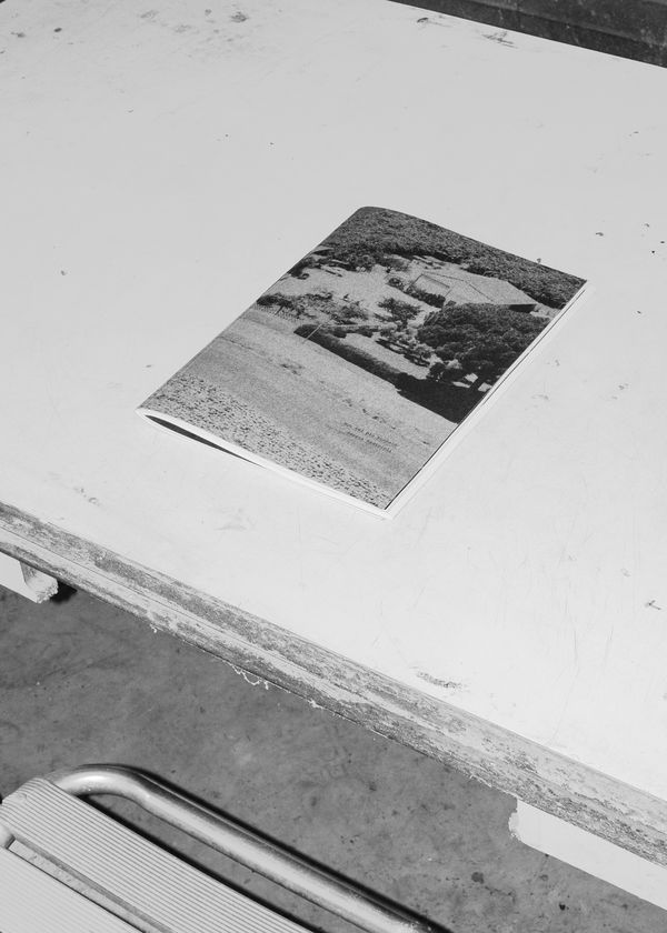 © Serena Radicioli - Cover dummy