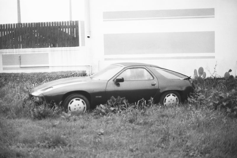 © Serena Radicioli - Abandoned Car