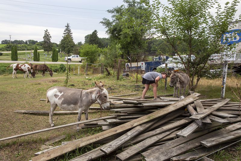 © Rachel Jessen - Jenny in her aunt's yard with miniature horses Thunder and Lightning, near Delhi. (Delaware County)