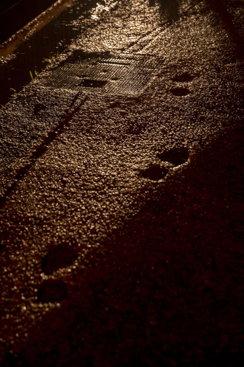 © Rachel Jessen - Image from the O que sentimos (What We Feel/Felt) photography project