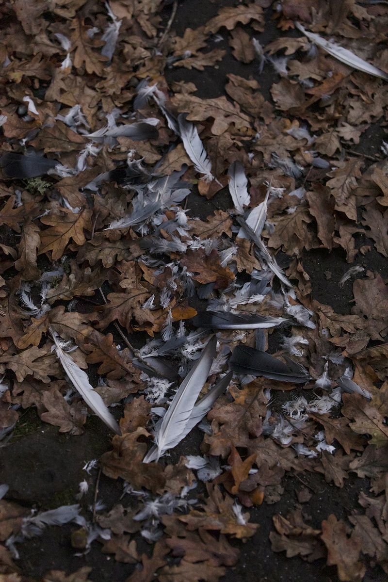 © Rachel Jessen - Image from the O que sentimos (What We Feel/Felt) photography project