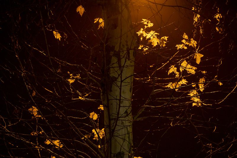 © Rachel Jessen - Image from the O que sentimos (What We Feel/Felt) photography project