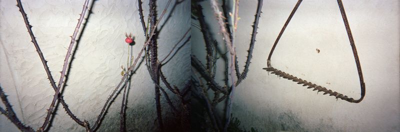 © Rachel Jessen - Image from the O que sentimos (What We Feel/Felt) photography project