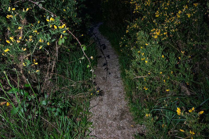 © Rachel Jessen - Image from the O que sentimos (What We Feel/Felt) photography project