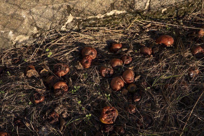 © Rachel Jessen - Image from the O que sentimos (What We Feel/Felt) photography project