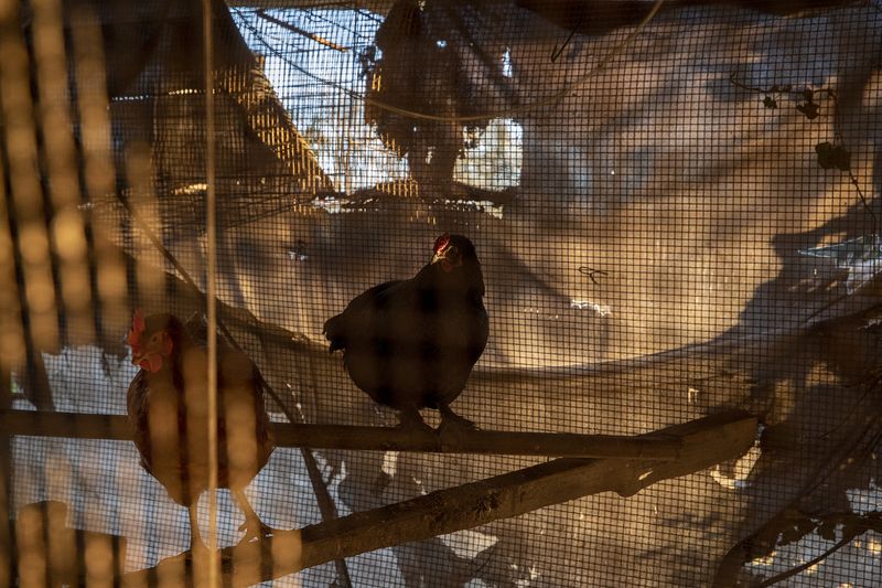 © Rachel Jessen - Image from the O que sentimos (What We Feel/Felt) photography project