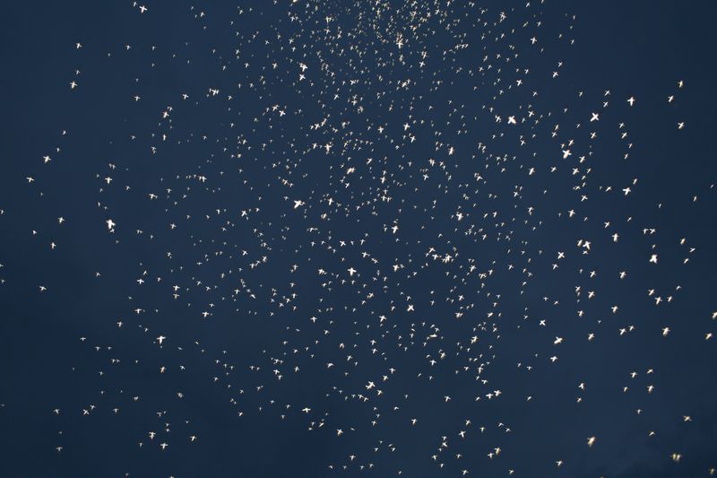 © Aubrey Trinnaman - Image from the Mormon Trail photography project