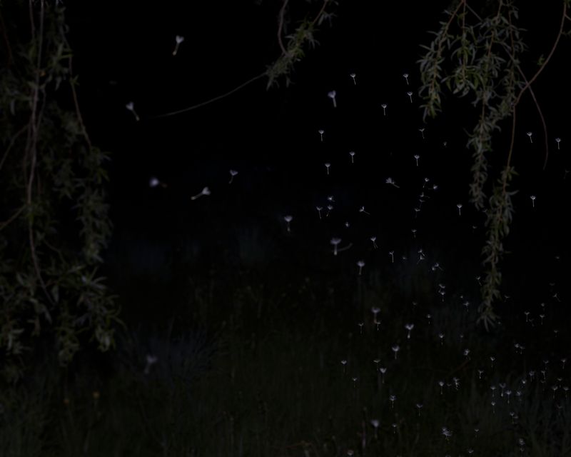 © Christian M Badach - Image from the Hotchkiss photography project