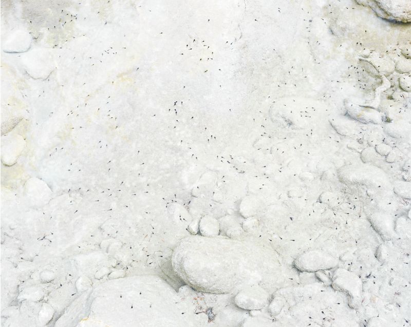 © Christian M Badach - Image from the Hotchkiss photography project