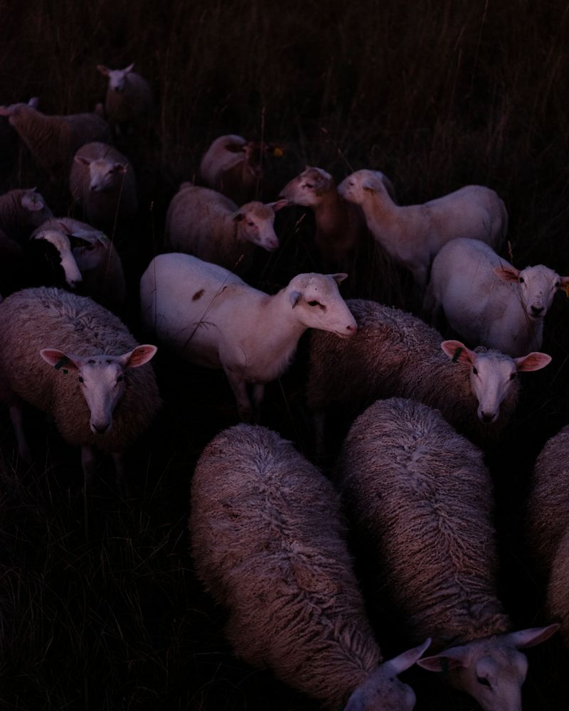 © Christian M Badach - Image from the Hotchkiss photography project