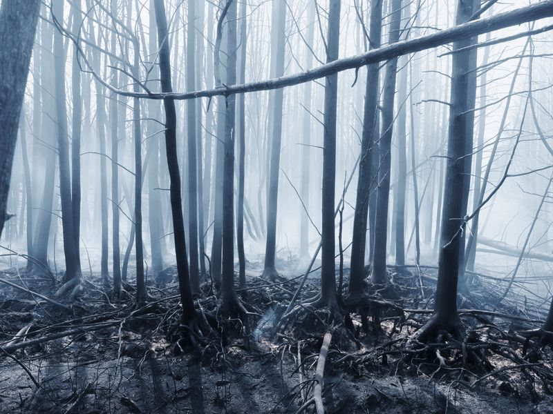 © Christian M Badach - Image from the Hotchkiss photography project