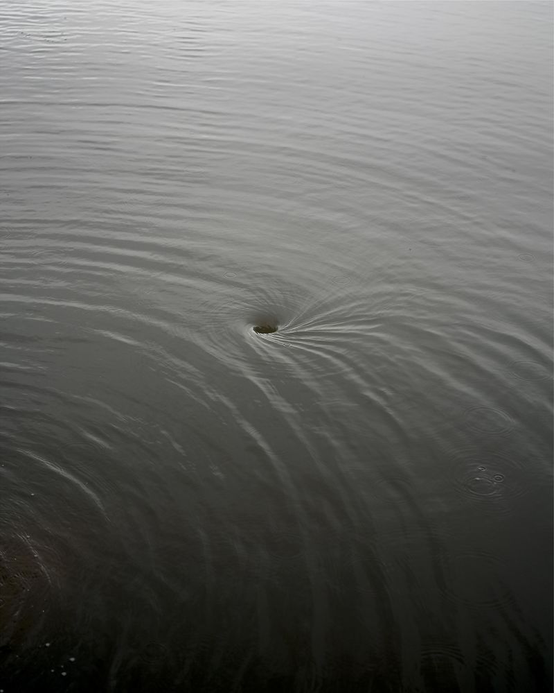 © Christian M Badach - Image from the Hotchkiss photography project