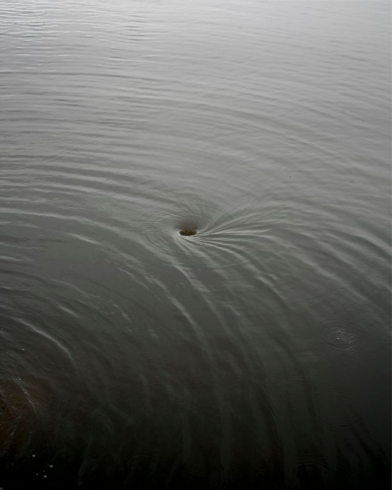 © Christian M Badach - Image from the Hotchkiss photography project