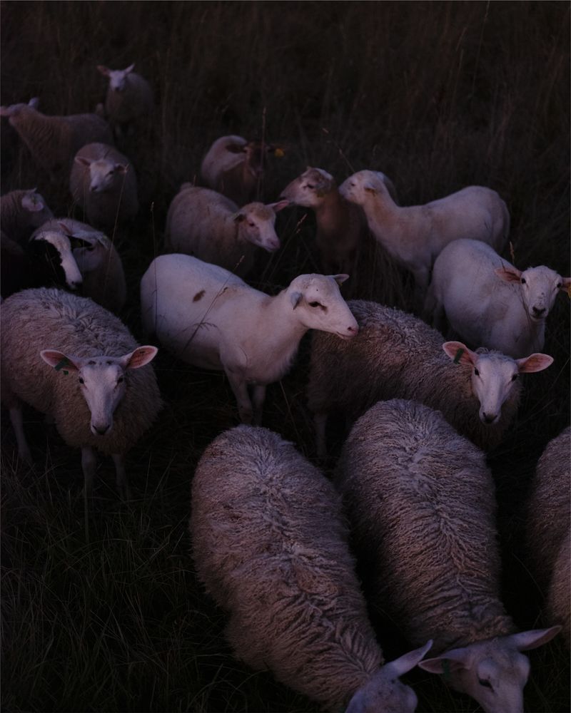 © Christian M Badach - Image from the Hotchkiss photography project