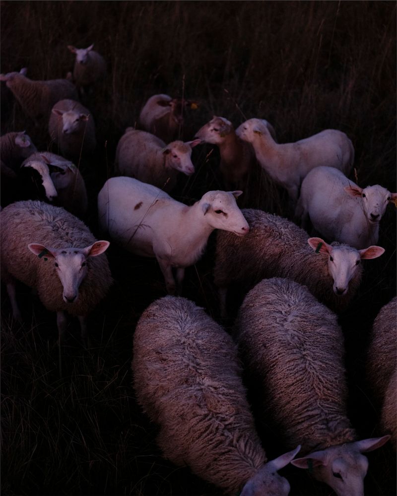 © Christian M Badach - Image from the Hotchkiss photography project