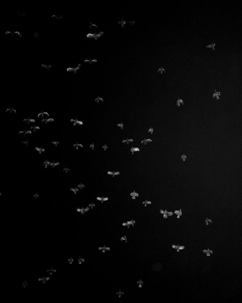 © Christian M Badach - Image from the Hotchkiss photography project