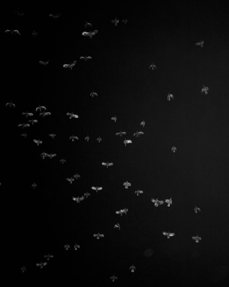 © Christian M Badach - Image from the Hotchkiss photography project