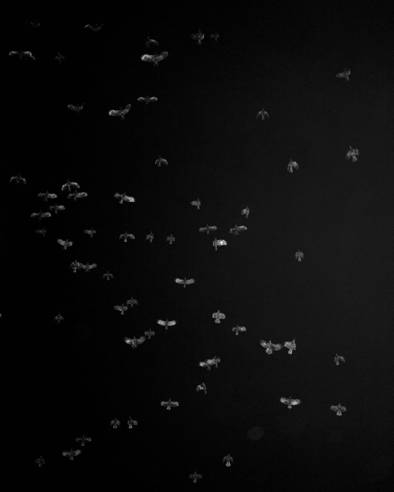 © Christian M Badach - Image from the Hotchkiss photography project