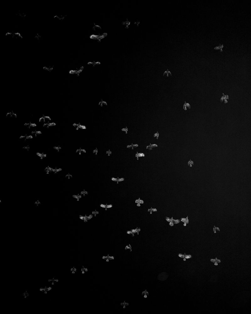 © Christian M Badach - Image from the Hotchkiss photography project