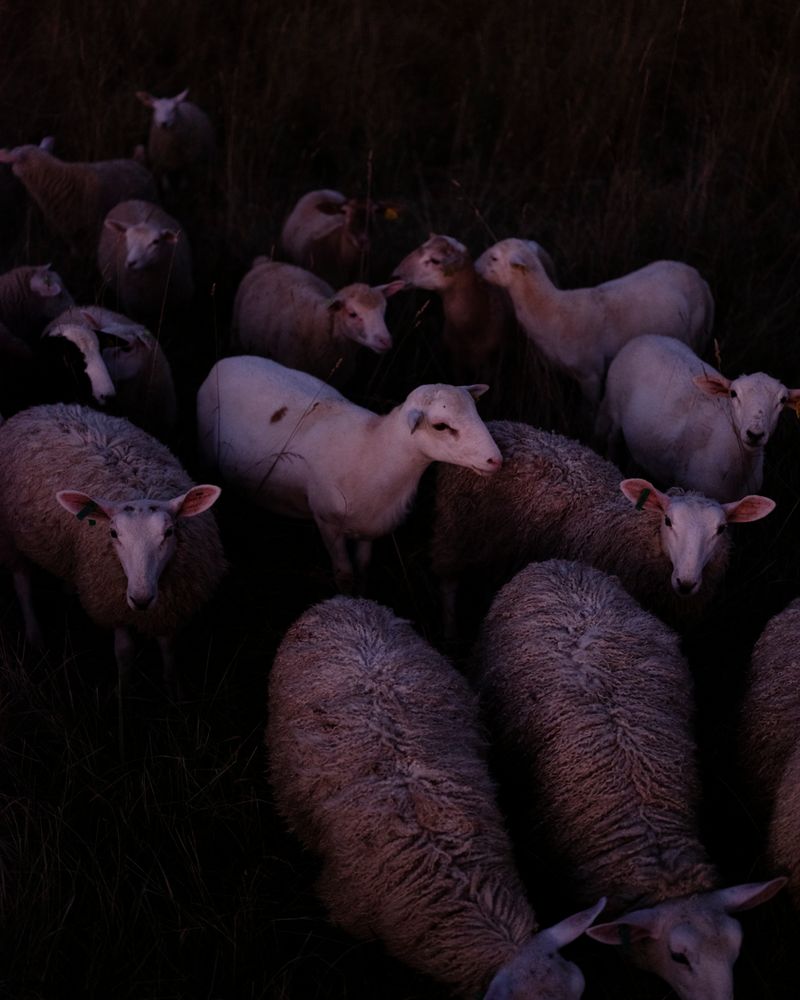 © Christian M Badach - Image from the Hotchkiss photography project