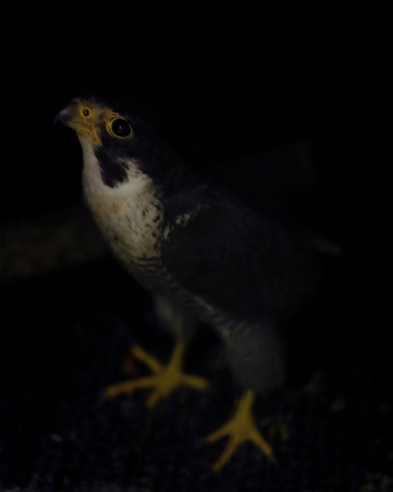 © Christian M Badach - Image from the Hotchkiss photography project