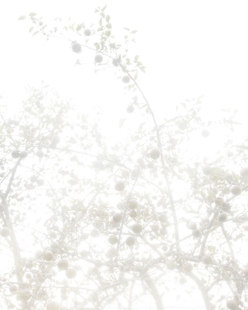 © Christian M Badach - Image from the Hotchkiss photography project