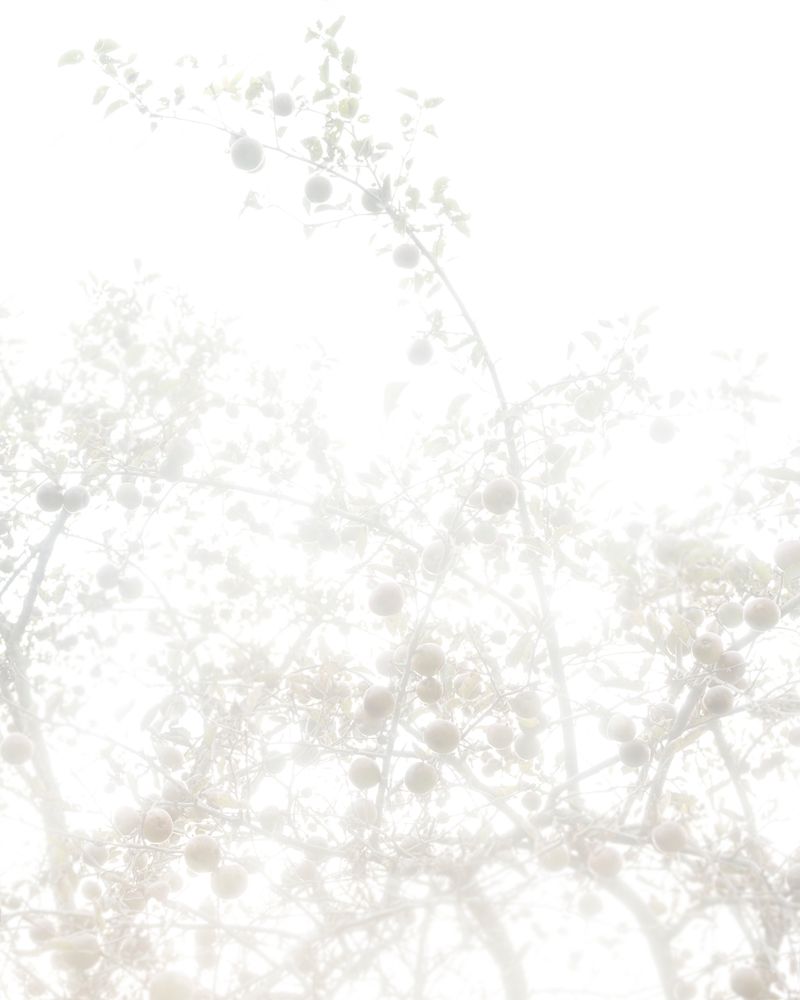 © Christian M Badach - Image from the Hotchkiss photography project