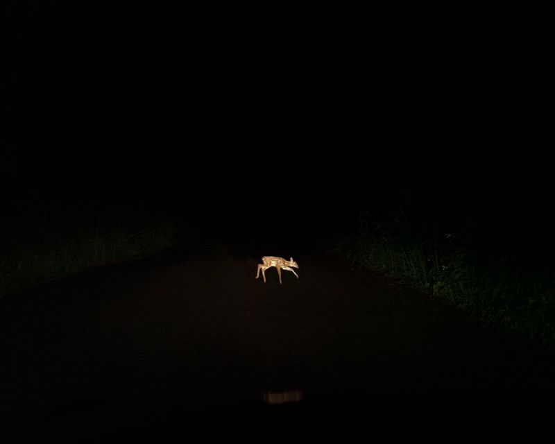 © Christian M Badach - Image from the Hotchkiss photography project