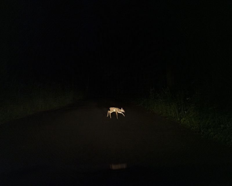© Christian M Badach - Image from the Hotchkiss photography project