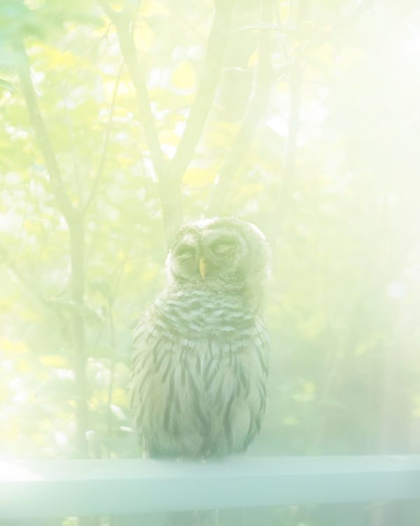 © Christian M Badach - Image from the Hotchkiss photography project