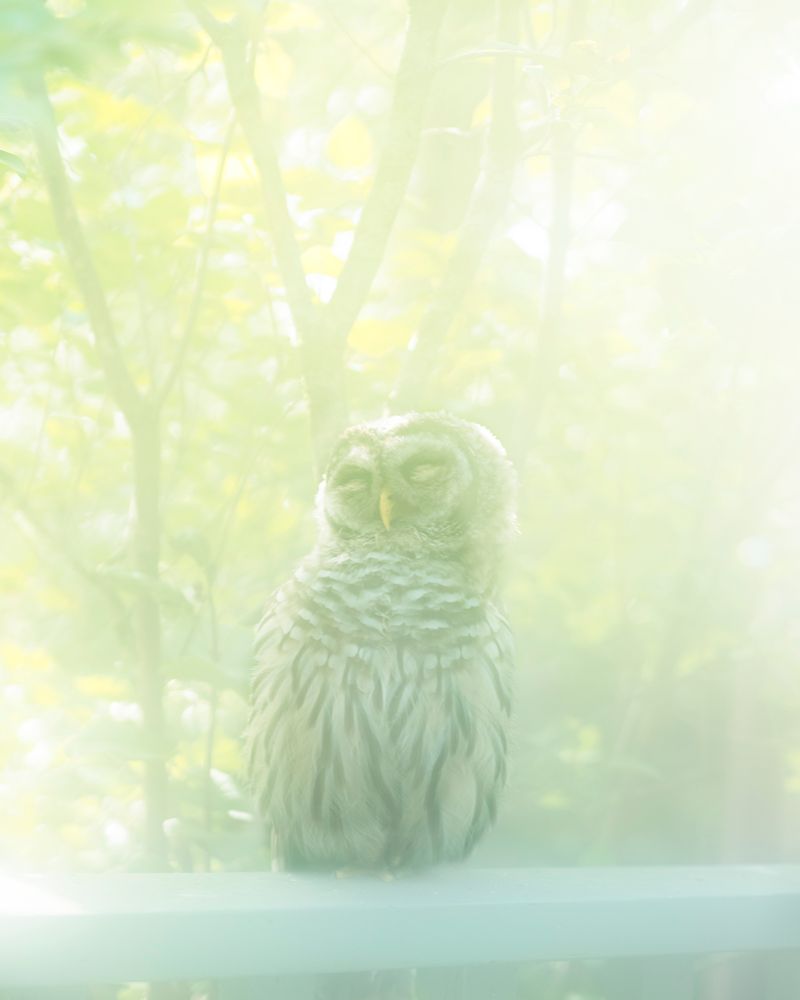 © Christian M Badach - Image from the Hotchkiss photography project