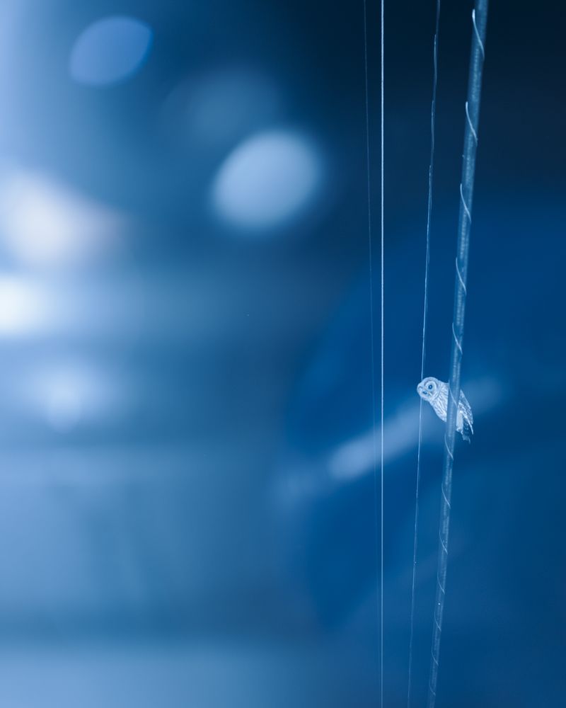 © Christian M Badach - Image from the Hotchkiss photography project