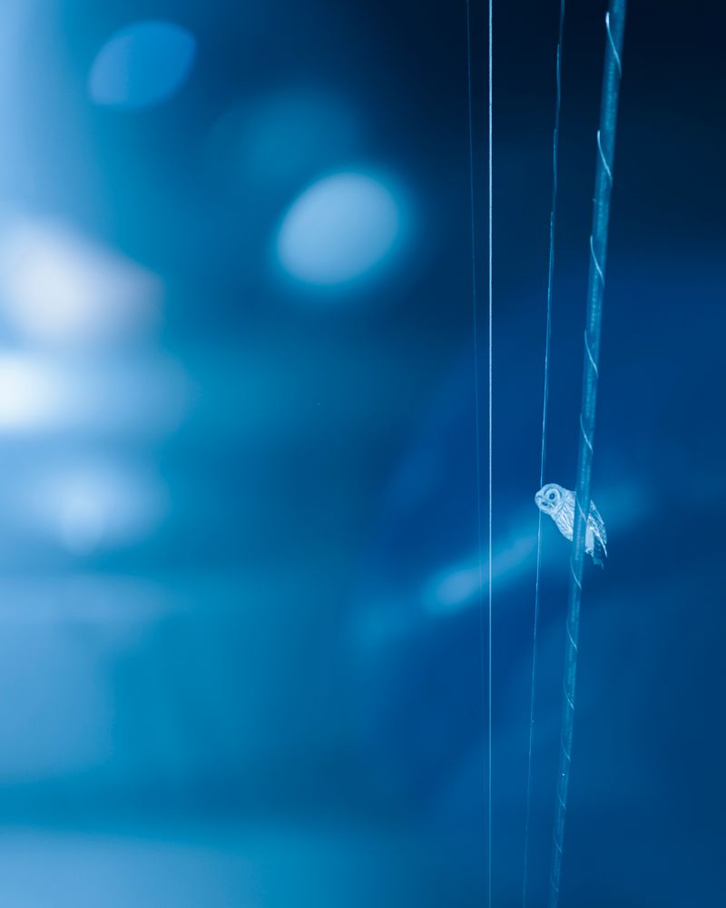 © Christian M Badach - Image from the Hotchkiss photography project