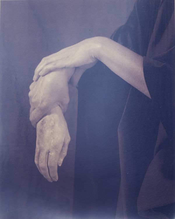 © Christine Elfman - Reproduction I, variation I, faded lichen on paper, unfixed, lifesize