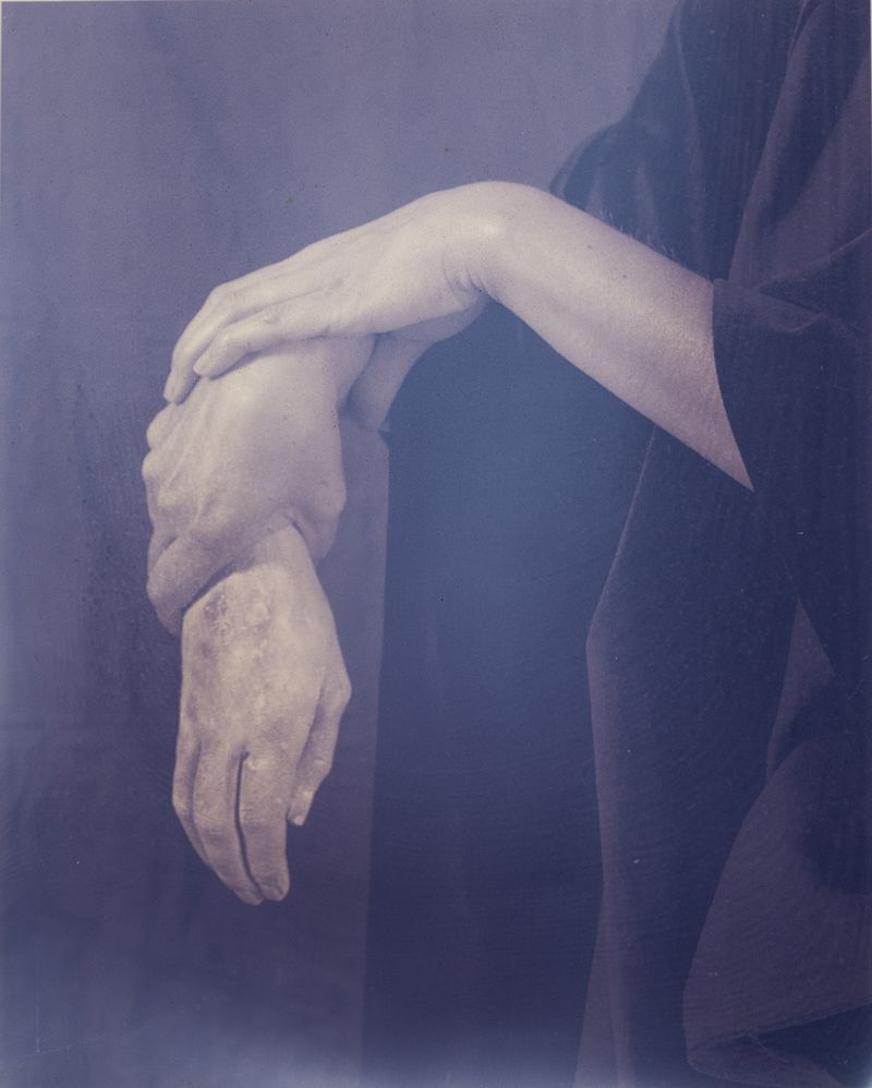 © Christine Elfman - Reproduction I, variation I, faded lichen on paper, unfixed, lifesize