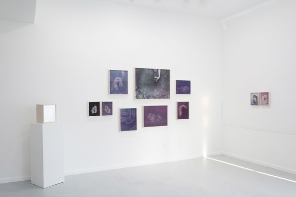 © Christine Elfman - All solid shapes dissolve in lightanthotypes (faded lichen dye on paper), silver gelatin prints, inkjet prints