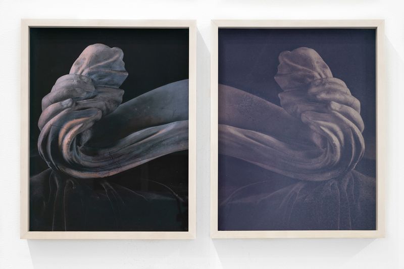 © Christine Elfman - Fragment IV, diptych, silver gelatin print with lichen dye (left), faded lichen dye on paper unfixed (right), lifesize