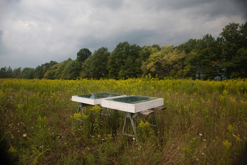 © Christine Elfman - Image from the All solid shapes dissolve in light photography project