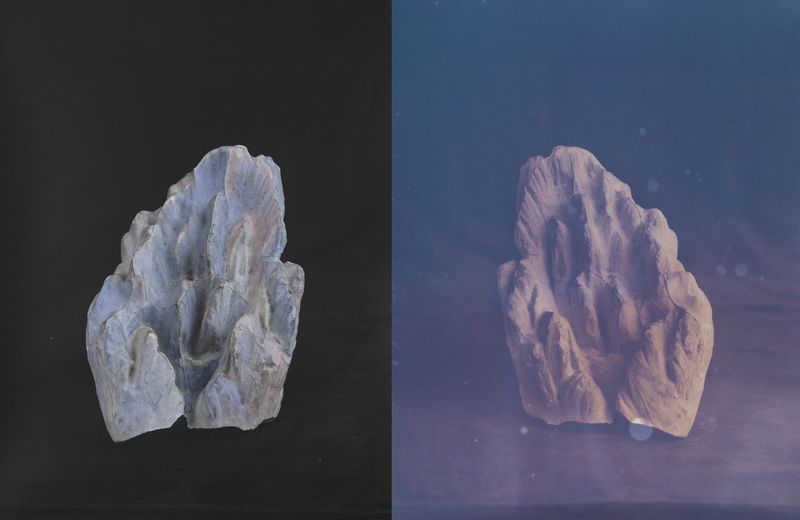 © Christine Elfman - Fragment II (diptych), faded lichen dye on paper unfixed, and silver gelatin print with lichen dye, 9x12 inches each