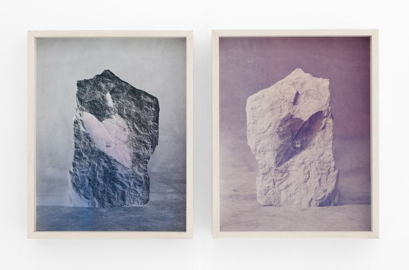 © Christine Elfman - Fossil (diptych), inkjet print with lichen dye (left), faded lichen dye on paper unfixed anthotype (right), 9x12 inches each