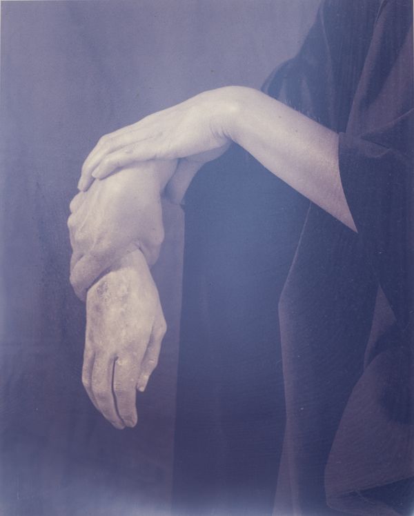 © Christine Elfman - Redroduction I, 2020, faded lichen dye on paper unfixed anthotype, life-size