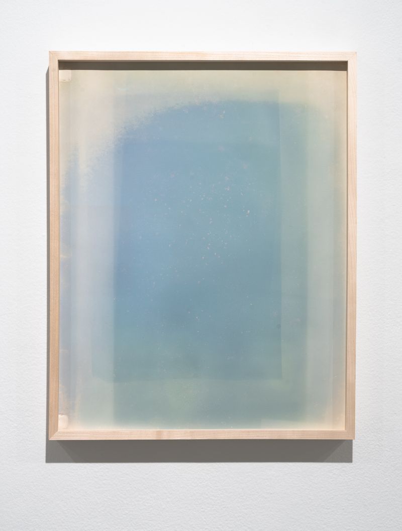© Christine Elfman - Flux, faded blue ternate dye on paper, unfixed anthotype, 20x24 inchesexposed unintentionally in flatfile drawer over years