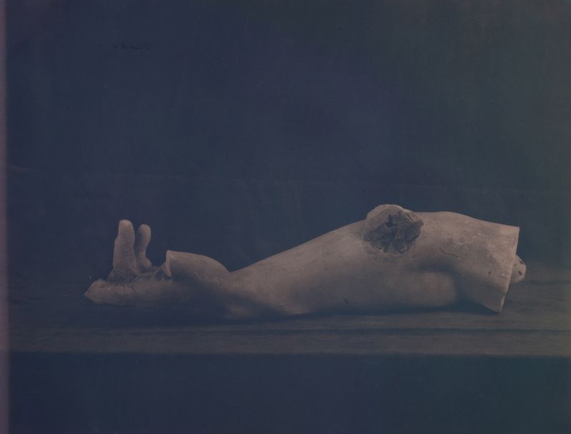 © Christine Elfman - Fragment II, faded dye on paper (anthotype), unfixed, 24x30 inches