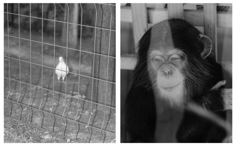 © Yiding Chen - Image from the Such an Effortless Choice photography project