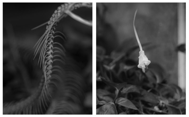 © Yiding Chen - Image from the Such an Effortless Choice photography project