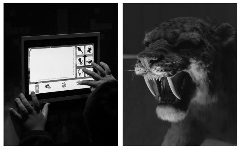 © Yiding Chen - Image from the Such an Effortless Choice photography project