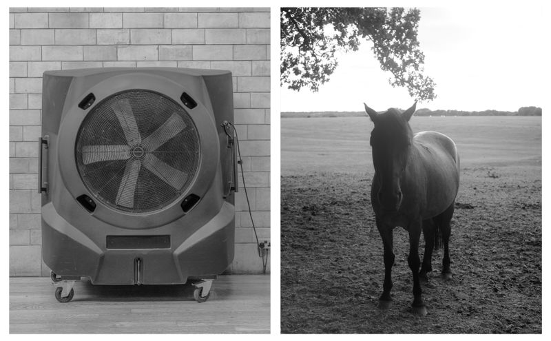 © Yiding Chen - Image from the Such an Effortless Choice photography project