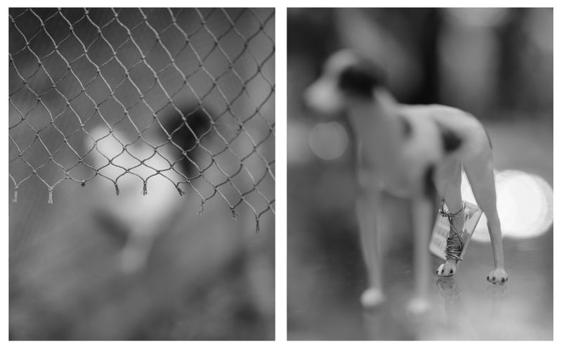 © Yiding Chen - Image from the Such an Effortless Choice photography project