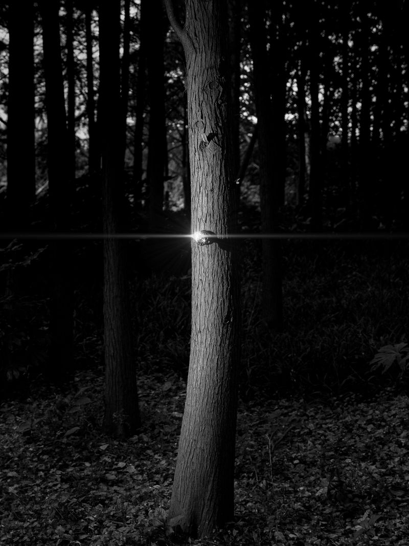 © Yiding Chen - Image from the Can You  Feel It ? photography project